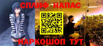 PSILOCYBIN Новодвинск